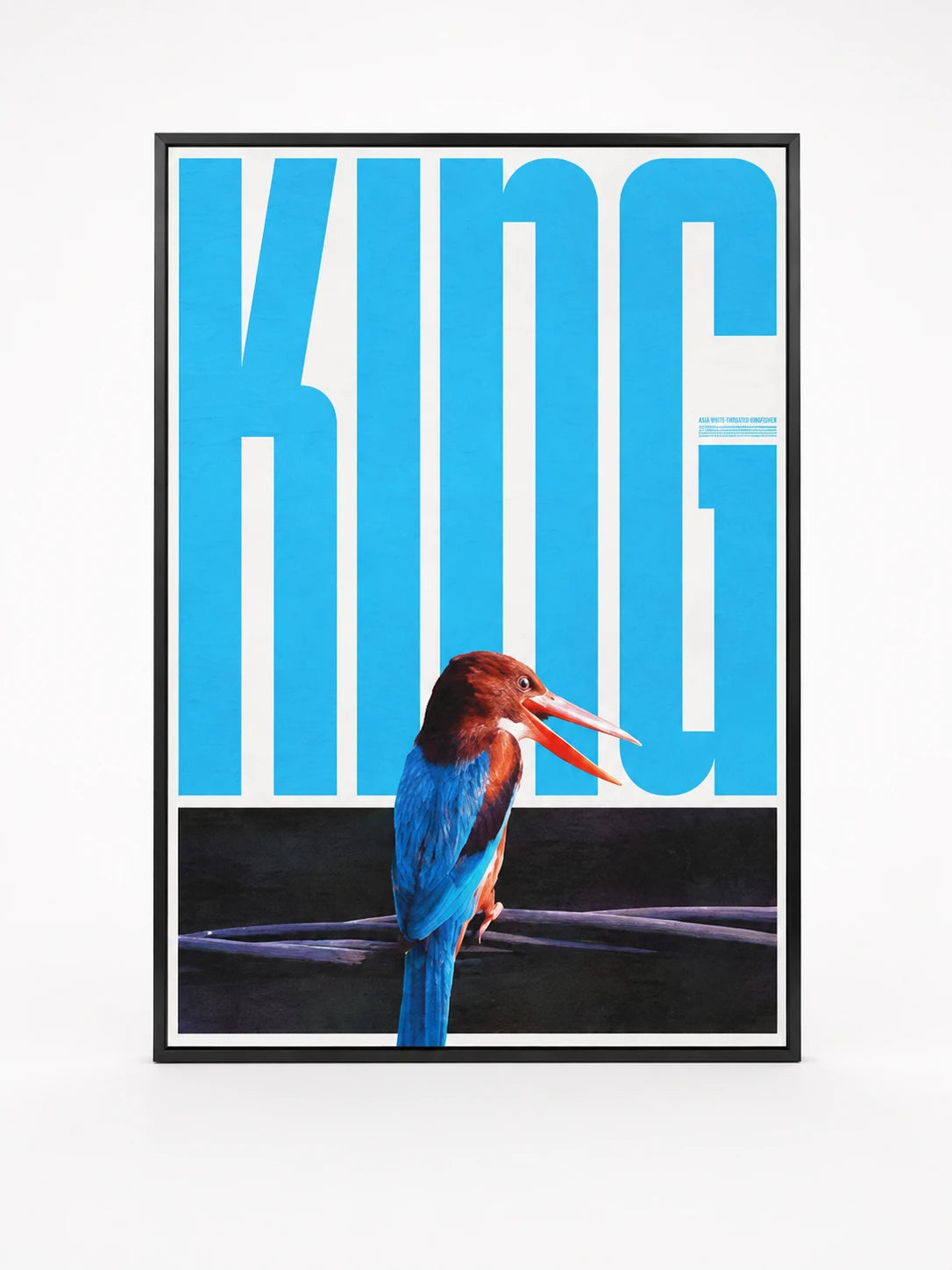 Bold Type Photo Wall Art