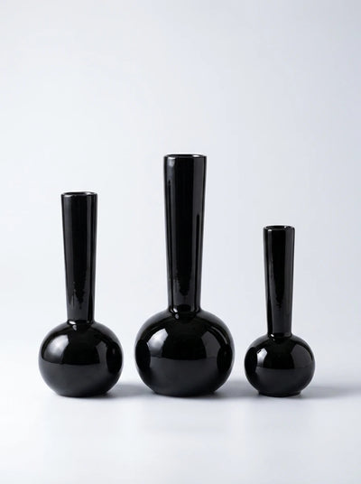 Sculptural Hydroponic Stem Vase — Minimalist Glass Decor