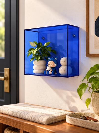 blue acrylic wall box with a plant and figurine in an entryway